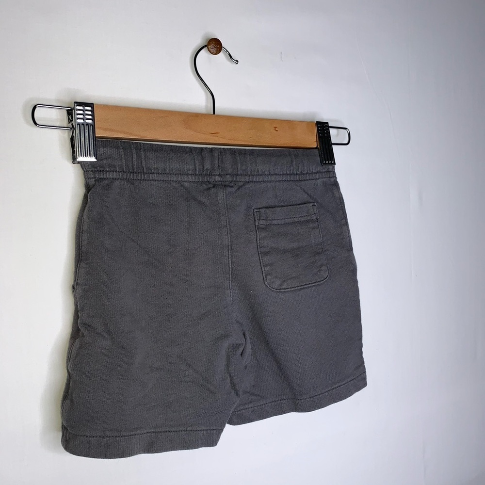 •Kids• Grey Carter’s shorts 3T - Picture 2 of 3
